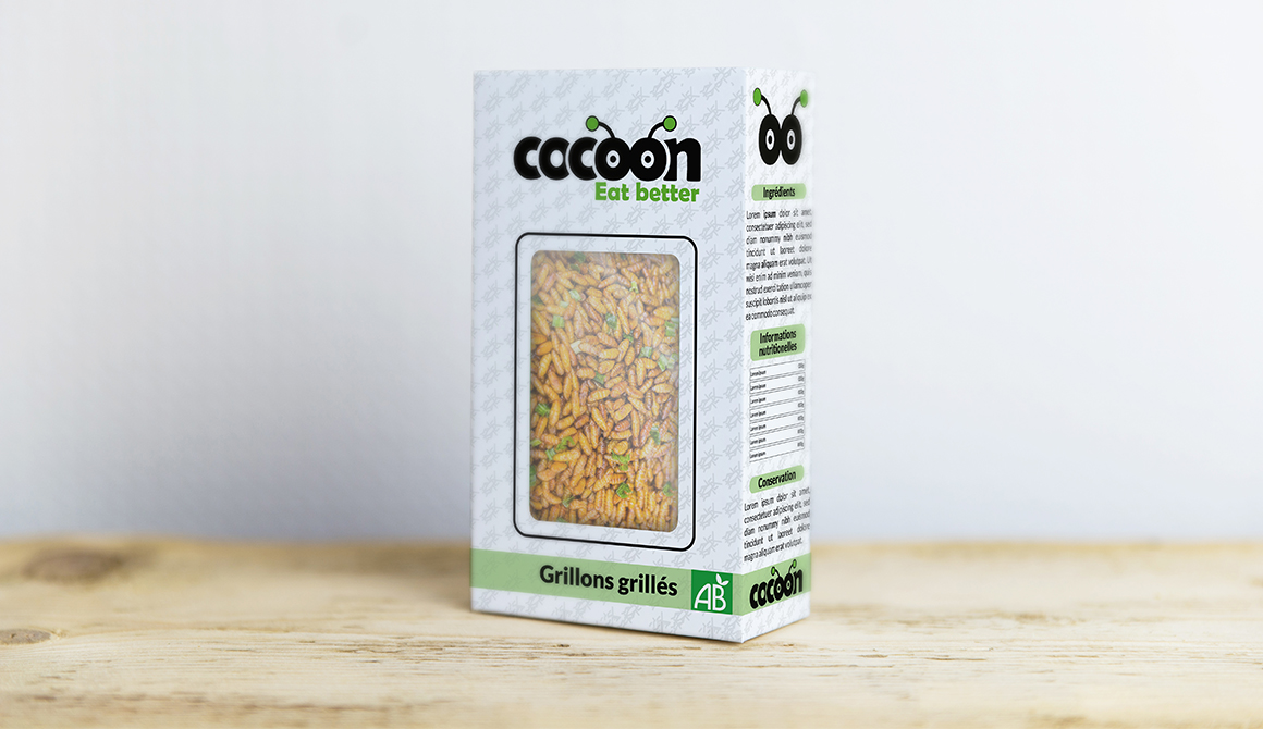 Cocoon : projet formation infographie éco-conception