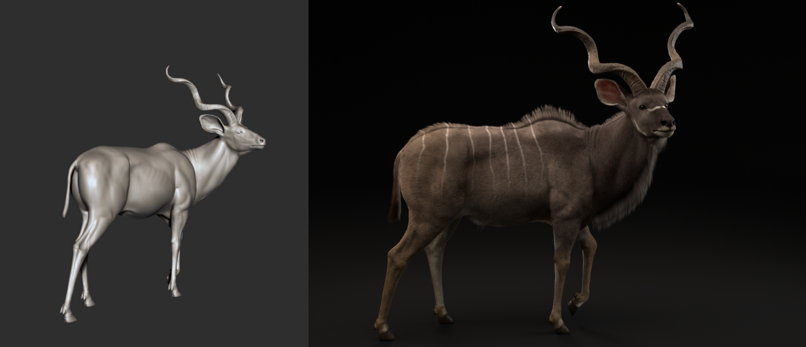 Greater Kudu : projet 3d animation / video games game art course - year 2 to 4