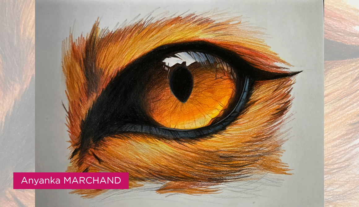 Regard animal : l’oeil comme territoire : projet programme arts graphiques illustration - années 2 à 4