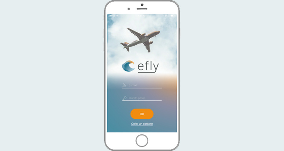 projet école design graphique et digital : Efly