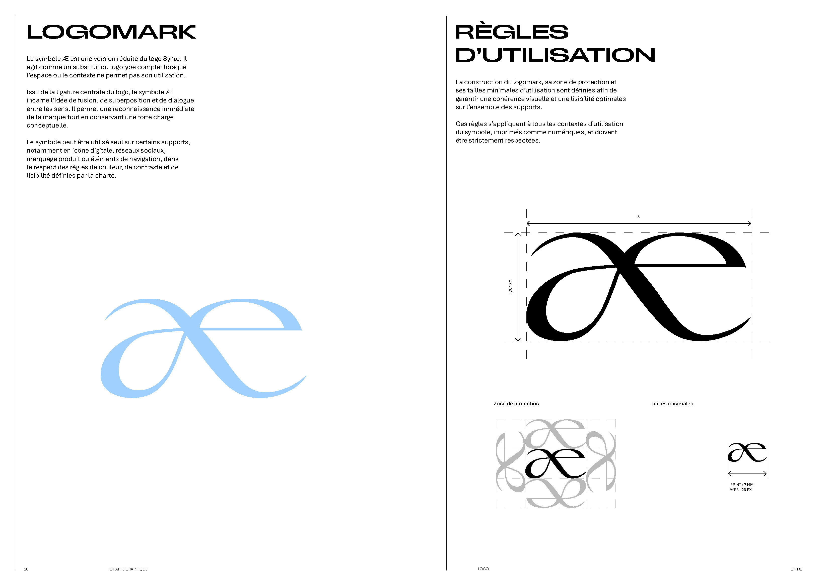 BRASSART - Projet SYNAE