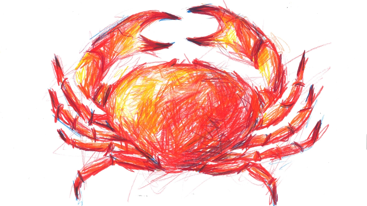 BRASSART - Classe préparatoire