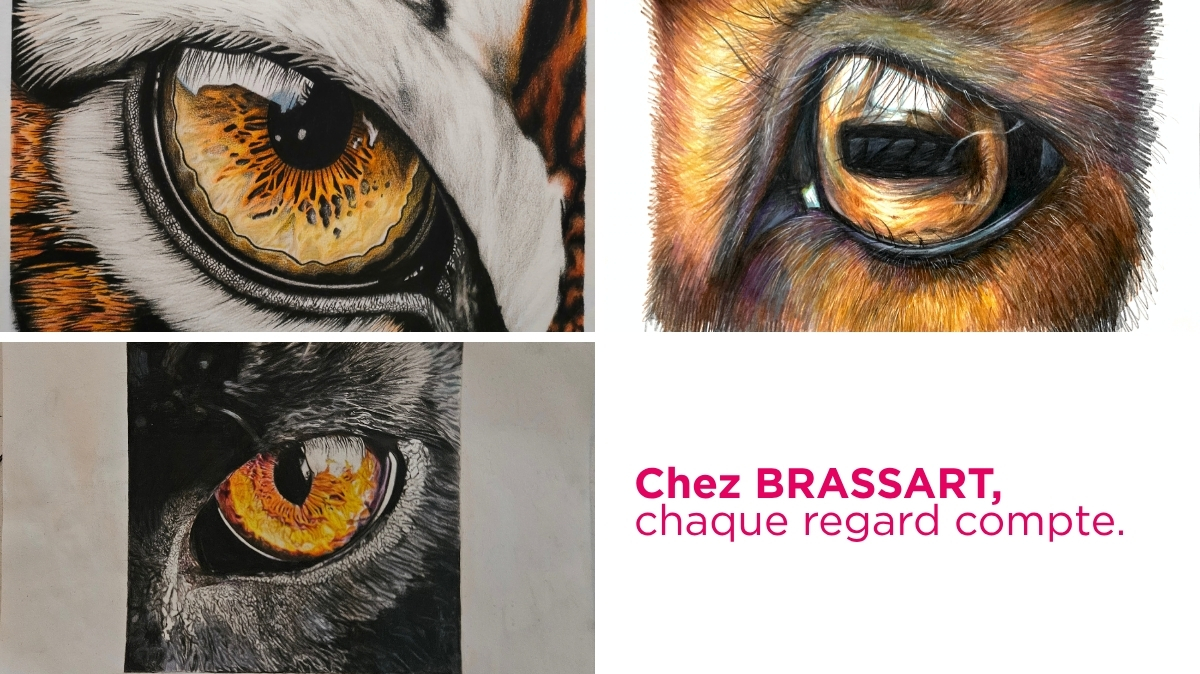 BRASSART - nouvelle baseline